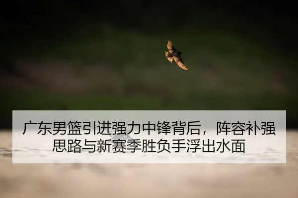 广东男篮引进强力中锋背后，阵容补强思路与新赛季胜负手浮出水面